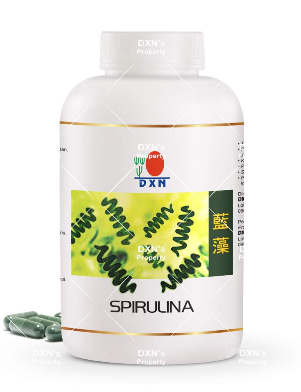 LIMITEDBONUSDEAL DXN Spirulina 360 Capsules (1 Bottle)