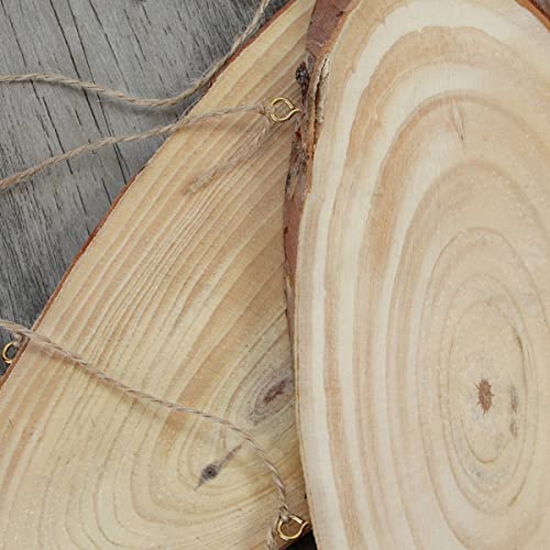 Artibetter Wooden Signs Tree Bark Wood Wood Discs 3pcs Oval Tag Wooden Plaques Decorated Crafts for Hangings Hanging Pine Slice DIY Wooden Cutout Predrilled Wood Wooden Circles - Image 3