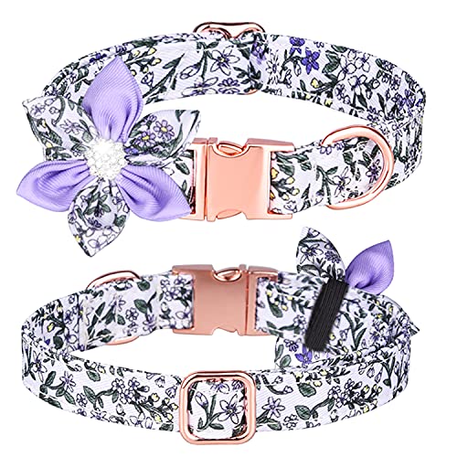 haoyueer Collier pour chien avec fleur en strass - Motif floral - Joli collier pour chien avec fleur en strass amovible - Pour chiens femelles de petite, moyenne et grande taille (M, violet/blanc)
