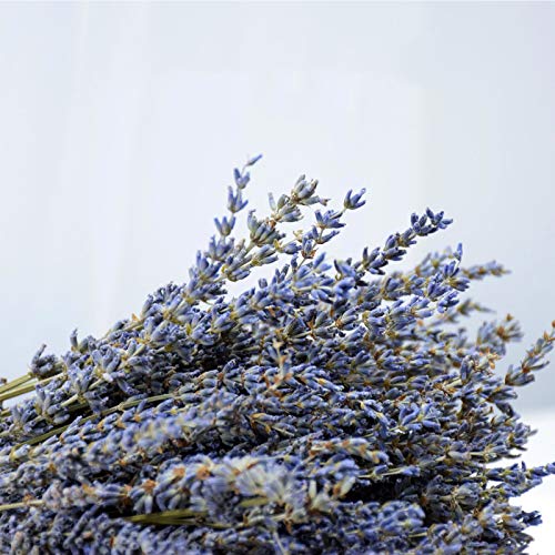 Ramos secos de lavanda para decoración y manualidades miniatura 6