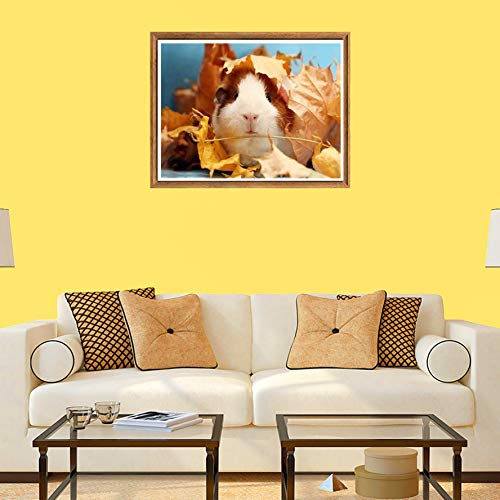 Bimkole Pittura Diamante Diamond Painting Criceti