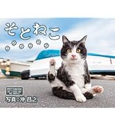 通常版】そとねこ（月めくり/壁掛け/600mm×380mm） (インプレス