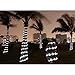 LE 12 M 1.2 V 100 LED Waterproof IP55 Portable LED Solar Fairy Light with Light Sensor, Outdoor String Lights for Wedding, Party, Christmas Cold White