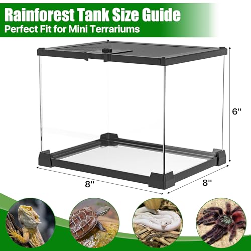 Image of Mini Glass Reptile Enclosure Terrarium 8 inchx8 inchx6 inch | Top-Opening Mesh Lid with Feeding Hole, Fully Assembled Tank for Tarantulas, Isopods,Froglets & Tiny Reptiles