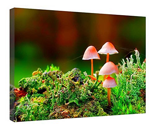 Toile d'Octobre encadrée en bois de qualité galerie d'art avec finition tendue impeccable