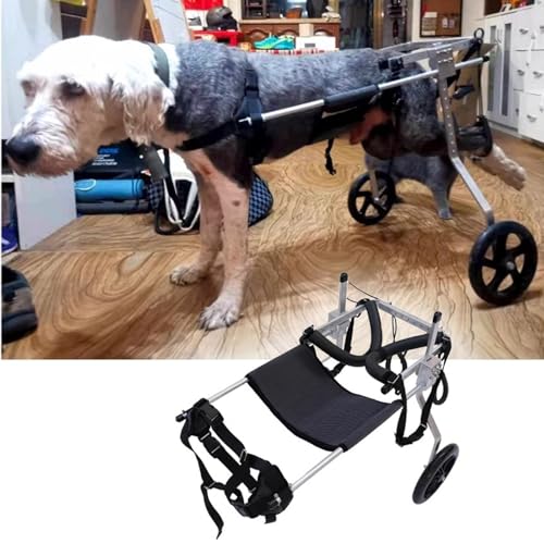 Amazon.co.jp: 犬用移動補助具 後ろ足用車椅子 M/XL/XXL/XXXL