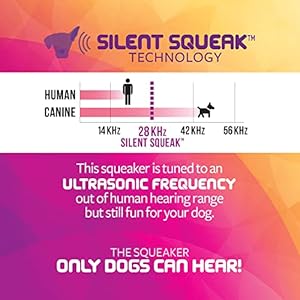 Strong ‘N Silent Penguin Silent Squeak Plush Dog Toy, Chew Guard Technology – Black/White, Medium