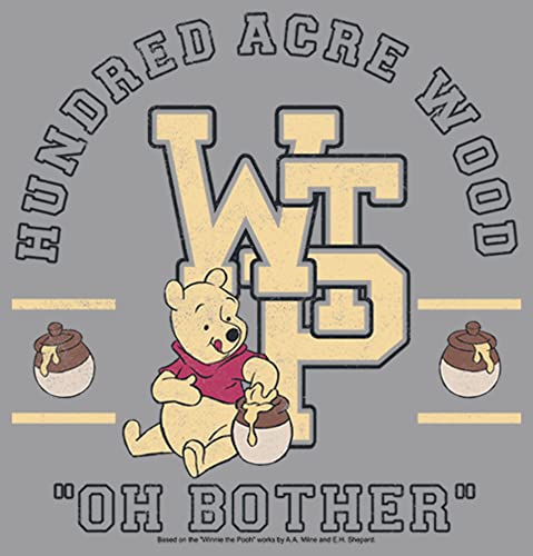 Disney Boys' Winnie The Pooh Collegiate Hoodie2