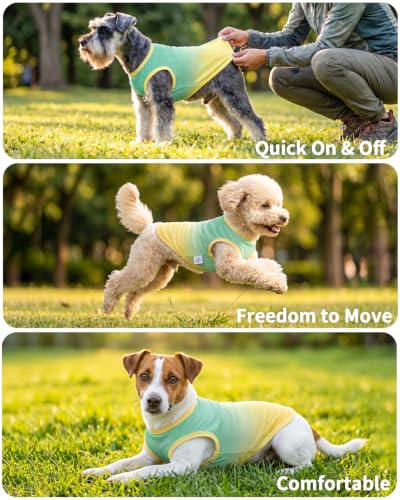 Image of CuteBone Ombre Dog Tank Top for Small Dogs, Cats - Tropical Summer Pet Vest - Breathable Ice Silk Cooling Shirt - Sun Protection, Photo, Casual Play, Walks