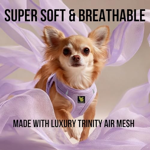 EcoBark Premium Quality Step in Dog Harness - Teacup Dog Harnesses - Perfect Puppy Harness - Luxury Soft Mesh Step in Vest - No Pull Mini Body Halter - Toy Breed Harnesses (XXXS, Lavender) - Image 4