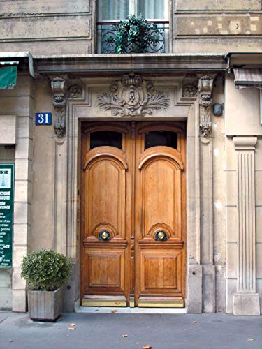 24''T 18''D Artificial Trees For Outdoors Set Of 2 Potted Bushes Home Decor Artificial Topiariy Trees For Front Porch #TOP2