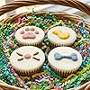 Wufers Easter Dog Treat Cups 4-Pack – Soft-Baked Decorated Dog Cookies, Easter Basket Treats for Dogs, Spring Dog Treat Variety, Made in North America #2