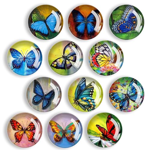 Imanes de Nevera, 12 Piezas Refrigerator Magnet Decorativo, Imanes de Pizarra Blanca para Refrigerador, Pizarra, Tablero de Alfileres, Cocina, Niños y Regalo para Adultos (Mariposa)