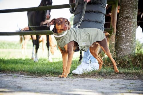 Wolters Outdoorjacke Modern Classic, Größe:26 cm, Farbe:Olive