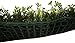 SZ - Seto Plancha Alfombra Artificial 60x40cm con tréboles