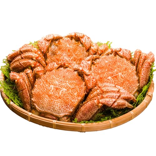 K уKjp т PKj  p I݂ I݂ ɖX JjX r Ir {Cς  ɓ NX}X  o[xL[ BBQ Lv (, d:2.4kg(32kg))