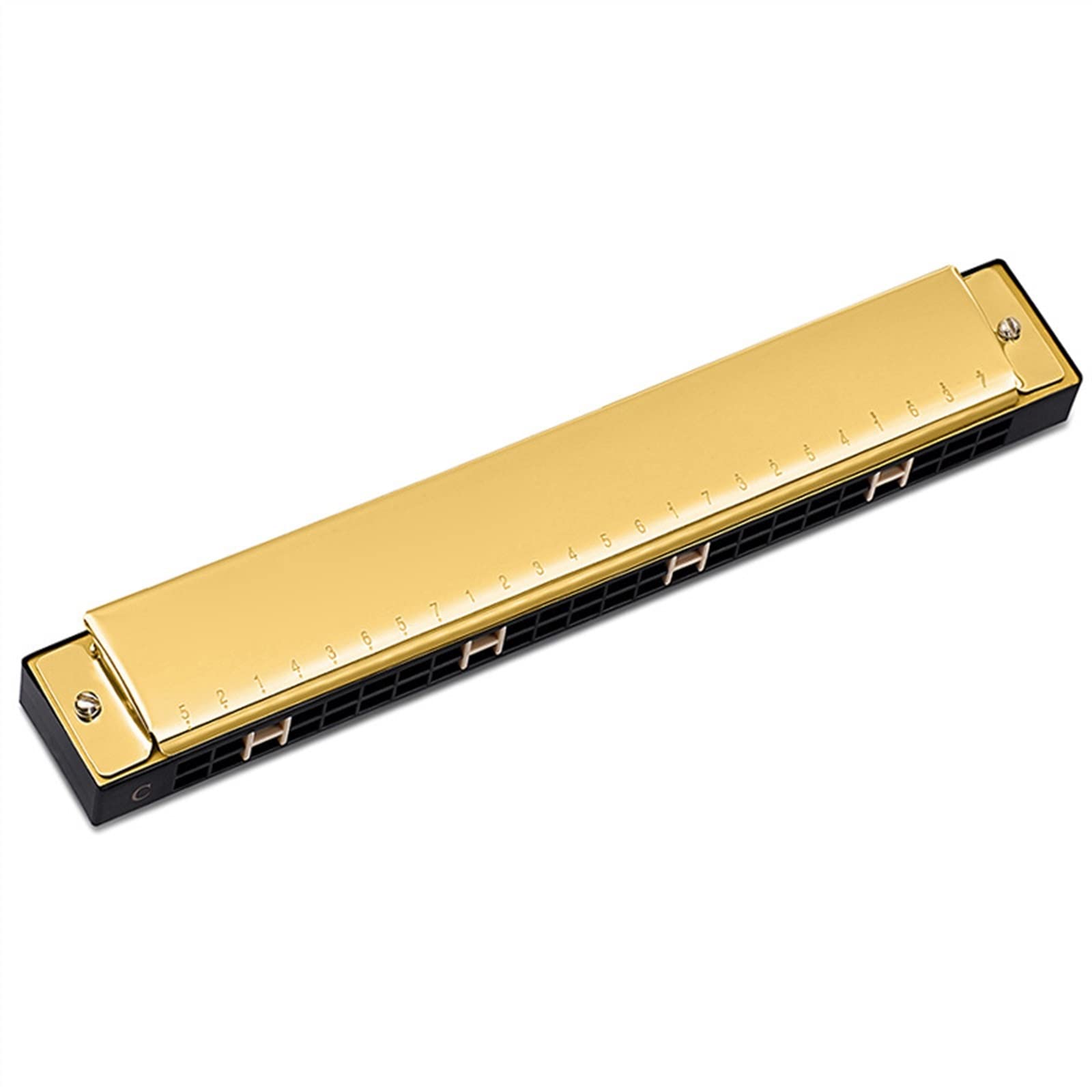 Harmonijka Ustna 24-otworowa Harmonijka Polifoniczna Dla Początkujących, Początkujących Harmonijka Dla Początkujących (Color : Gold)
