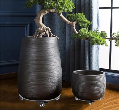 Chariot à roulettes pour plantes - Support roulant pour intérieur/extérieur - 30 cm