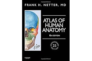 Atlas of Human Anatomy, Professional Edition: Sharpen Your Clinical Knowledge of Anatomy with Netter