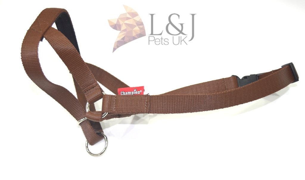 Roma Everyday Halter, Purple, Full