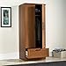 Sauder 411802 HomePlus Wardrobe/Storage Cabinet, L: 28.98