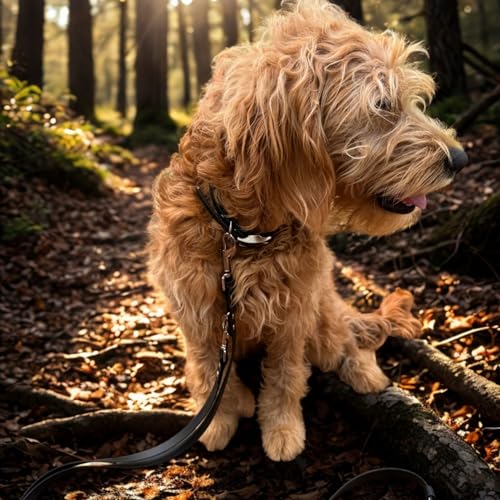 ZAVVIT BioThane Hundeleine, Umhängeleine 3m - 19mm breit | Verstellbar 1,5–3m | für mittelgroße & große Hunde | wasserfest, robust & pflegeleicht | Joggingleine mit 2 Karabinern (schwarz)