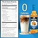 Syruvia Sugar Free Pumpkin Spice Coffee Syrup, Flavored Syrup for Drinks, Lattes, and Desserts – 25.4 fl oz