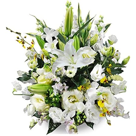 Amazon お供え お悔み 法要 四十九日 生花 フラワーアレンジメント ユリ 入り L サイズ 高さ45cm 白のみ アレンジメント 法要 四十九日 お盆 お供え お悔み フラワーギフト 生花 プレゼント 生花 お彼岸 お見舞い ペットロス 虹の橋 男性 女性 アレンジフラワー Amazon お供え お悔み 法要 四十九日 生花 フラワーアレンジメント ユリ 入り L サイズ 高さ45cm 白のみ アレンジメント 法要 四十九日 お盆 お供え お悔み フラワーギフト 生花 プレゼント 生花 お彼岸 お見舞い ペットロス 虹の橋 男性 女性 アレンジフラワー