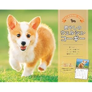 癒やしのウェルシュ・コーギー (インプレスカレンダー2024)" 