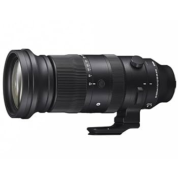Amazon.com : Sigma 60-600mm F4.5-6.3 DG DN OS for L-Mount