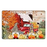 Fußmatte Weihnachten Herbst Teppich Thanksgiving GNOME Matte Teppich Bodenmatte Saisonale Teppich für Indoor Outdoor Schlafzimmer, Flur Wohnzimmer Boden, Küche Badezimmer