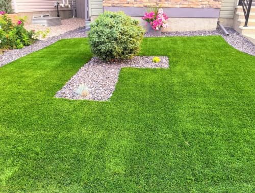 Gromax India Lawn Grass Seeds Hybrid Best For Your Beautiful Home Gardening And Farmhouse (Pack Of 500+ Seeds)