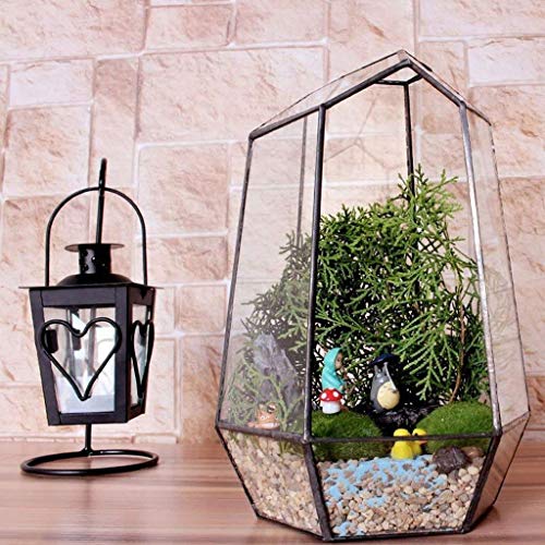 Vase hexagonal en verre pour micro paysage et terrarium de plantes