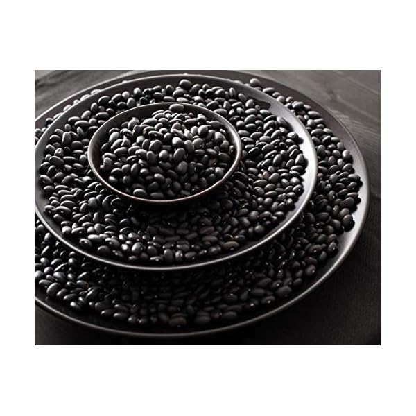 Organic-Black-Turtle-Beans-10-Pounds-Dried-Non-GMO-Kosher-Raw-Sproutable-Vegan-Bulk Organic Black Turtle Beans, 10 Pounds – Non-GMO, Whole Dried Beans, Sproutable, Vegan, Kosher, Bulk. Great Source of Plant Based Protein, Fiber. Great for Bean Soup, Salads, Chili.