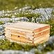 VEVOR Bienenstock-Starterset mit tiefer Box, 100 % mit Bienenwachs beschichtetes natürliches Zedernholz, Zander Beute mit 10 Rahmen und Fundamenten, transparente Bienenfenster aus Acryl