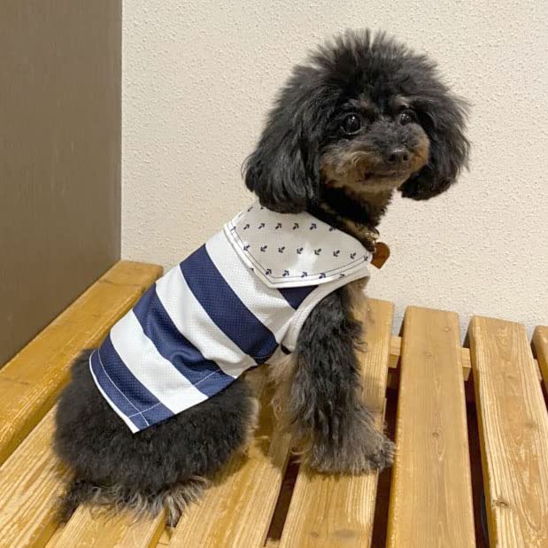 Amazon | 犬服 VERY 2022春夏 クールマリン セーラー 1号 小型犬