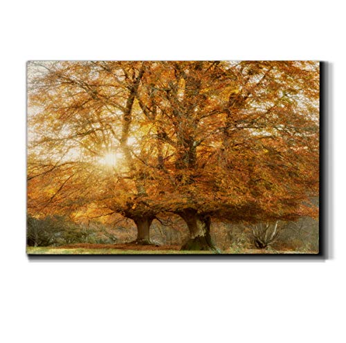 WEXFORD HOME Landscape Canvas Wall Art Abstract Floral Forest Modern Pictures Artwork Decoration for Living Room Kitchen Bathroom Office, Ready to Hang