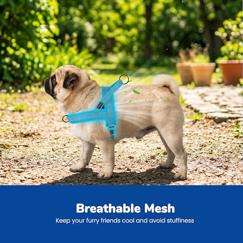 Image of Didog No Pull Dog Harness for Medium Dogs, Breathable Mesh Padded, Blue, M