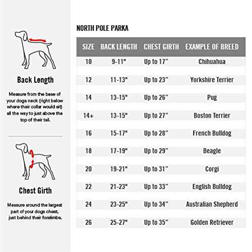 Amazon Com Canada Pooch North Pole Dog Parka Water Resistant Insulated Dog Jacket 18 Black 18 17 19 Back Length Pet Coats Pet Supplies