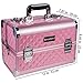 SHANY Premier Fantasy Professional Makeup Train Case Cosmetic Box Portable Makeup Case Organizer Jewelry storage with Locks, 3 Trays, Makeup Brush Holder and Cosmetics Mirror - Pink Diamond