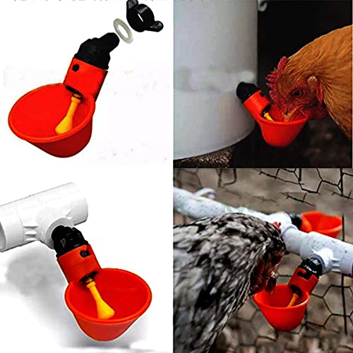 Sqxaldm Automatische Plastic Drinkbeker voor Kippen Drinkbeker voor Gevogelte Waterdrinkbekers Automatische Drinkbak… - Afbeelding 6