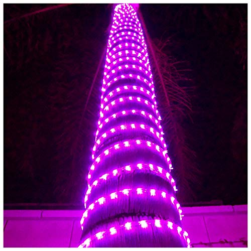 Pink Rope Lights - 30 feet - Festival Of Lights