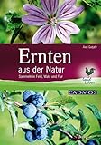  Ernten aus der Natur: Sammeln in Feld - Wald und Flur (LandLeben)