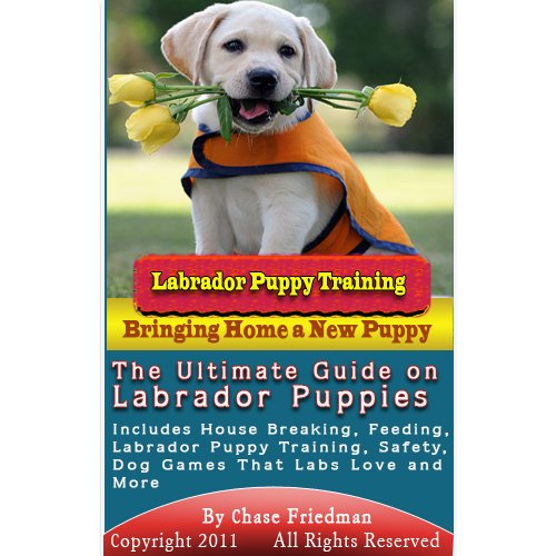 Labrador Puppy Training The Ultimate Guide on Labrador Puppies, What