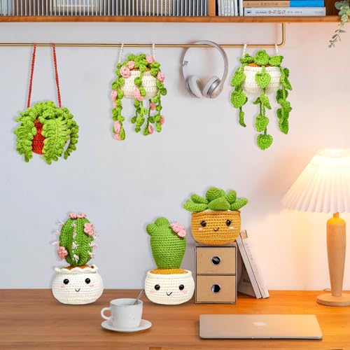 ASTNIC Crochet Kit for Beginners 6Pcs Hanging Potted Plants Crochet Starter Kit - Image 4