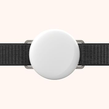 Titanium Alloy AirTag Ultra Light pet cat Collar or Small Dog Neck Length Between 8-12 inch, not Protective case Cover (Black)