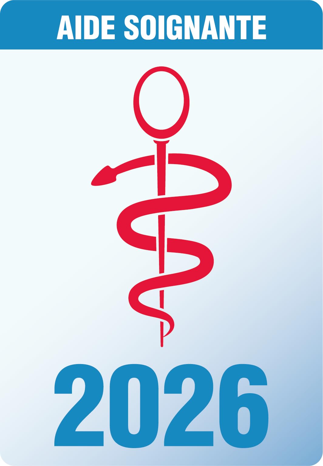 TOPSTUFF - Caducées Soignants 2026 – Autocollant pour Pare-Brise Voiture – Vitrophanie Résiste aux UV (Aide-Soignante)