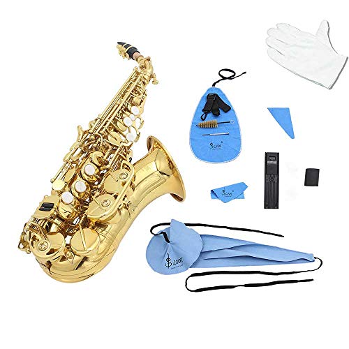 Saxophone Cleaning Kit, 10-in-1 Cleaning Cloth + Mouthpiece Brush + Gloves + Sax Neck Strap Maintenance Tool for Clarinet?Blue?