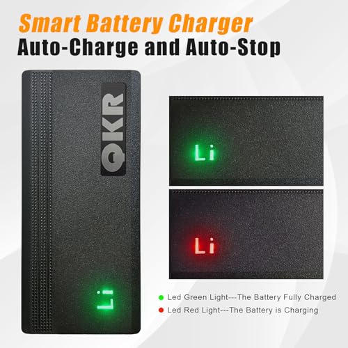 14.6V LiFePO4 Battery Charger 12V 10A Lithium Battery Charger Special for 12V Lithium Iron Phosphate Battery, Smart Charger with LED Indicator, Built-in Safety Protections, Support Fast Charging