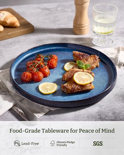 famiware Star 10/8 inches Dinner Plates Set for 6, Nebulas Blue